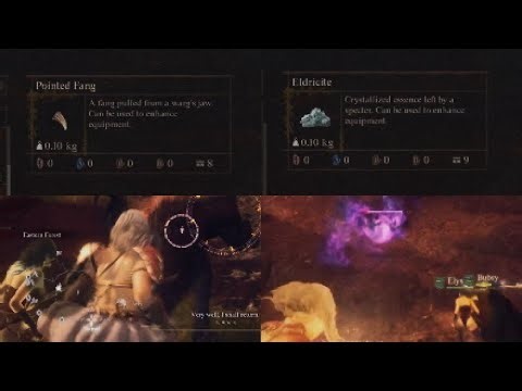 Dragon's Dogma 2 2x Specter and 2x Warg Spawn Locations for Eldricite and Pointed Fang Farming Route