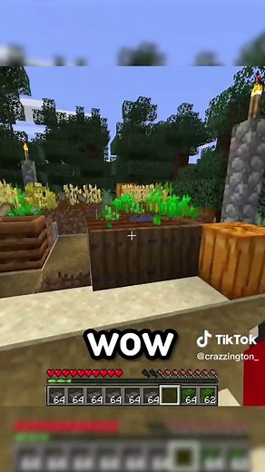 Minecraft: Drops Are Random! Surprising Discoveries