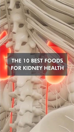 10 Best Foods To Keep Your Kidney Healthy #healthylifestyle #shortsfeed #shorts