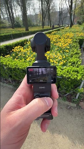 My Osmo Pocket 3 Instantly Looked Better With These Looks #djiosmopocket3 #cinematic #colorgrading