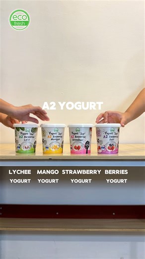 Introducing Eco Fresh A2 Yogurt — creamy, refreshing, and made with A2 milk. A2 milk contains only A2 beta-casein, which many people find gentler and easier to enjoy compared to regular milk. Best enjoyed chilled — comment your flavour pick 👇 #EcoFresh #EcoFreshA2 #A2Milk #A2Yogurt #YogurtTime #HealthySnack | ECO FRESH A2