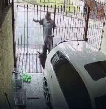 The reason you need dogs, thief got instant karma 👏🏻👏🏻