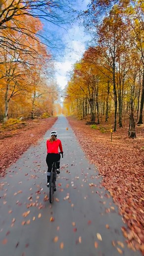 Cycling in fall, hits different in every way 🍁🍂🍄‍🟫 When you are a cyclist in Sweden it’s always hard to leave summer and head into winter. But when you nail rides like these, embracing the seasons is easy. This is Österlen in the far south, where we just spent a weekend among the falling leaves. Pure cycling bliss 🙏 #nofiter #noai #cycling #fallcycling #sweden #österlen #skåne | Cykelmagasinet