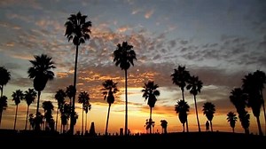 Thursday, October 2nd, Juice Magazine will throw a Venice Skatepark 16th Birthday Party to celebrate the Venice Skatepark and get together for some good times, and a FREE screening of the Made In Venice movie featuring the story of the fight to make the most skated and photographed park on the planet. Made In Venice, carries the viewer through the history of Venice to present day, as it tells the story of the decades it took a relentless crew of skateboarders, surfers and civic activists to conv