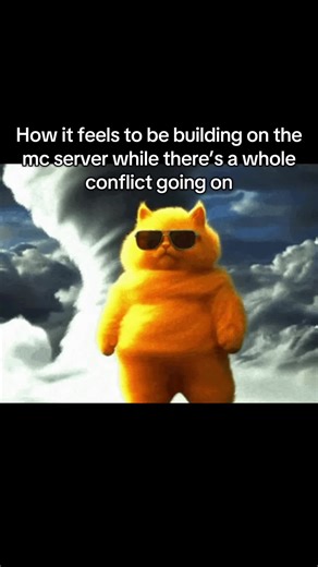 Lol funny cat gif lol #languagelearning #hemmerhoids #relatable #funny #xyzbca