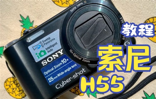 索尼DSC-H55 CCD数码相机使用说明-入门教程