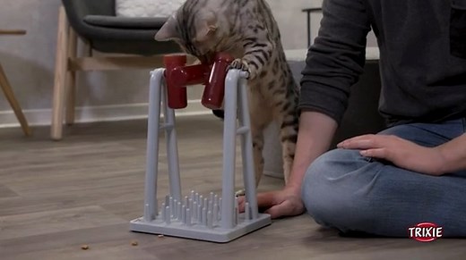 Das Cat Activity Strategiespiel Turn Around bietet Katzen zwei Spielmodule, bei denen die Tiere mit Strategie und Geschick an ihre Belohnung gelangen können. Das Katzenspiel fordert die Katze körperlich und geistig heraus. Die Bindung zwischen Katze und Halter wird durch das gemeinsame Spielen gestärkt. https://www.trixie.de/heimtierbedarf/de/shop/Katze/Beschaeftigung22/StrategieSnackSpielzeug2/?card=11305 | TRIXIE Heimtierbedarf