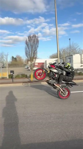 Why beginner bikes are fun #z500 #kawasaki #burnout #wheelie #bikelife #viral