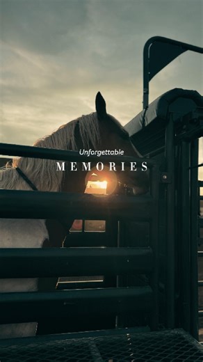 Dust, lights, and rodeo nights — the 2025 Moses Lake Roundup gave us memories to last a lifetime. 🤠🐎🔥 | Moses Lake Roundup