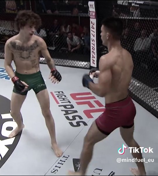 Top DWCS Knockouts That Stunned Fans