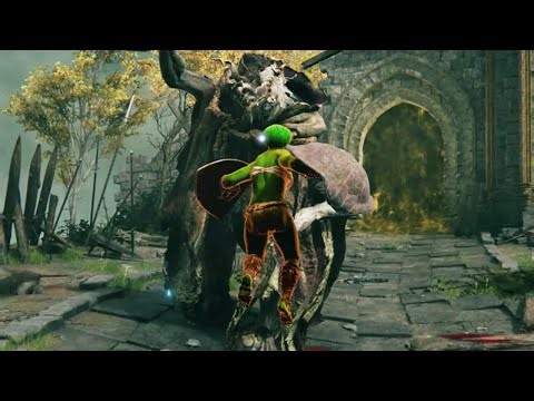 A Harmless Turtle Helps Hit Margit with 2 Shields [Elden Ring]