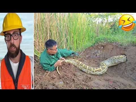 BEST OF THE WEEK! Try Not To Laugh 😂 Challenge Compilation Pt 2 |Epic Fails & Hilarious Moments