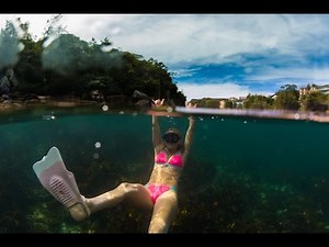 Snorkeling Shelly Beach