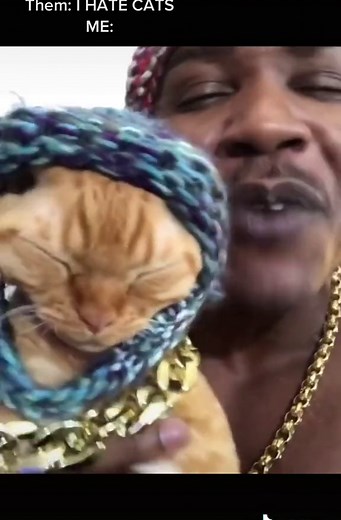 Cat Rapper - Meow to the Beat with DJ Ravioli
