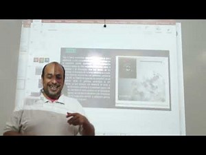 Transformation of cells by magnetofection, part 4