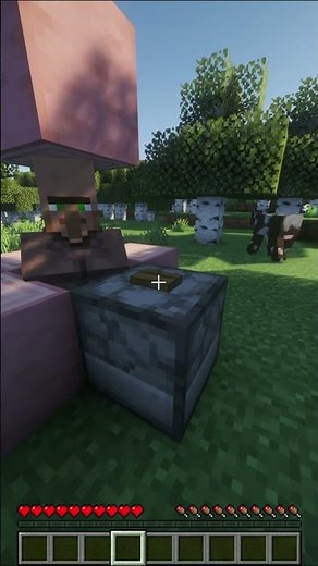 Ultimate Guide: Keep Your Minecraft Villagers Safe