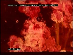 Emil Nolde, 1960's - Film 6475