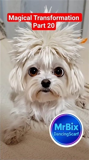 Magical Transformation 20