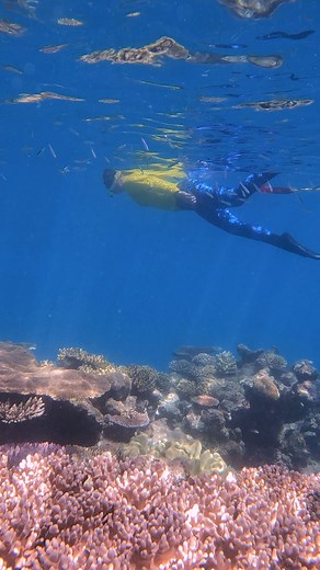Come along and you'll see....🤿 Conditions were beautiful yesterday at Mackay Reef with Ocean Safari. Master Reef Guide Brooke showed guests the best of what the Great Barrier Reef Marine Park has to offer above and below the water. | Master Reef Guides