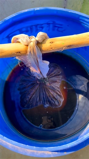 Dr-Sharvan Yadav on Instagram: "Best quality compost tea preparation at home"