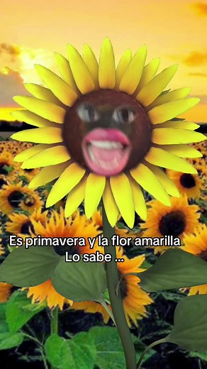 La flor amarilla #floresamarillas #comedia