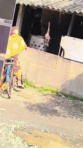 Rai Rai Raa Raa telugu #telugu #youtubeshorts