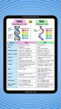 DNA vs RNA 🔥 #neet #neet2027 #biology