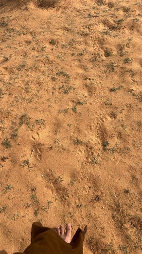 ‏#explore #foryou #fyp #hail #اكسبلور