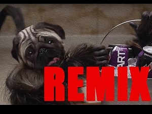 PUPPYMONKEYBABY SONG | Super Bowl Spot "Mtn Dew Kickstart"