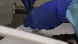 28 reactions | This week we have been sharing different parts of our...