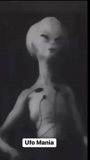 207K views · 1.9K reactions | Real or Fake?  #UFO #aliens | Ufo Mania | Facebook