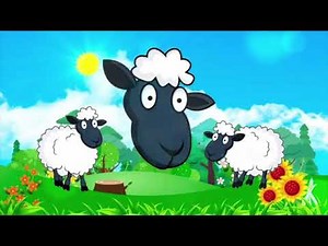 Learn How The Animals Thank Hashem by Morah Music | Kids Videos | Preschool Learning Videos |Toddler