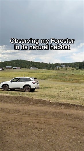 Can you guess the location? | Subaru of America, Inc.