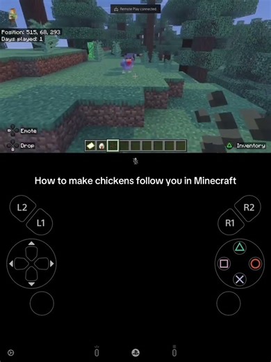 How to make chickens follow you in Minecraft.