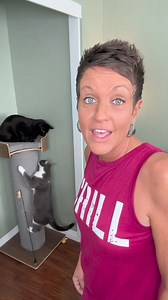 7K views · 148 reactions | Guys, I think we just found the world’s biggest/strongest cat scratcher! AND it couples as a cat tree! OMG you must check out the Giant Cat Tree by One Fast Cat - Our cats are LOVING it!  Click our link in bio to check it out today! #onefastcatpartner | The Two Crazy Cat Ladies | Facebook