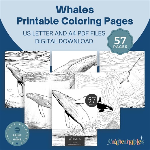 57 Printable Whale Coloring Pages for Adults and Kids | Whales Narwhals Orcas | A4 Letter Size Download - Etsy