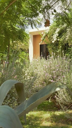 We are having the most beautiful spring at our beautiful Mandarin Oriental Marrakech resort, which has dressed up in hundreds of plants, flowers and roses for the occasion. 🌸💛🌺 | Mandarin Oriental, Marrakech