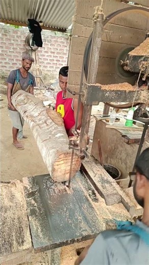 #shorts #youtubeshorts #wood #woodworking #sawmill