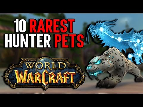 Top 10 Rarest Hunter Pets in World of Warcraft - Can You Tame Them All?