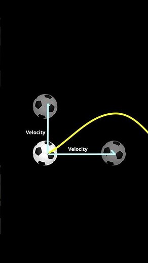 Projectile Motion Explained! | Class 11 Physics | Motion in a Plane Made Simple