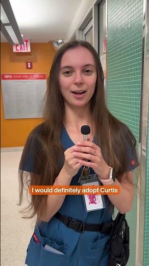 So many dogs to adopt, oh my! 🧡aspca.org/nycdogs