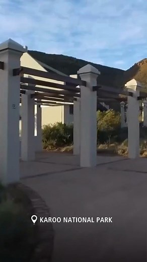 Situated at the edge of Beaufort West lies the Karoo National Park. A sanctuary of nature offering panoramic views of vast semi-desert landscapes blanketed by crystal clear night skies. Spectacular. Tranquil. Vast. This is Karoo National Park. #KarooNationalPark #LiveYourWild #SANParks #WildBackyard | South African National Parks