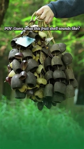 Unzip and Relax: ASMR Sound Healing for Better Sleep