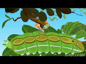 mathseeds lesson 104 my pet is hatched