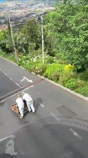 Tobogganing, Funchal, Madeira, Explore! from Jennie t. 🇵🇹