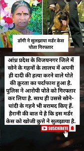 डॉगी ने सुलझाया मर्डर केस पोता गिरफ्तार