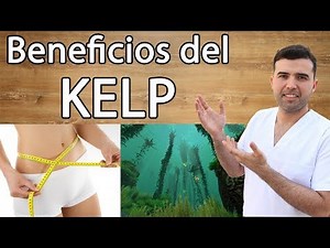 Benefits of Kelp