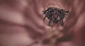 Howard the Duck- Widescreen Finale