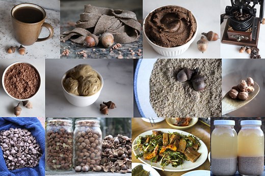 Eating Acorns: 60  Acorn Recipes from Around the World