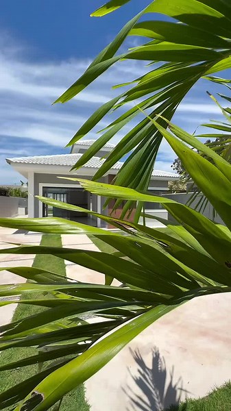 Exploring Modern Single Storey House Designs in Japan